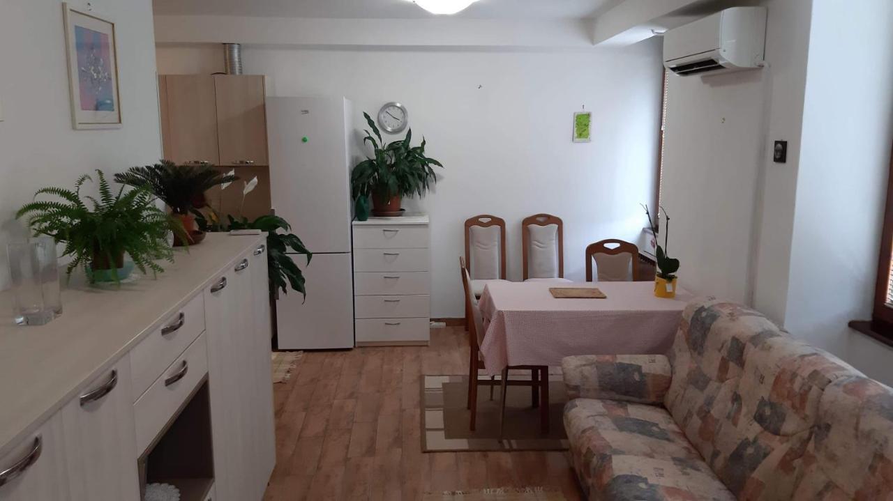 Guesthouse Skofije Ob Parenzani Spodnje Skofije 외부 사진